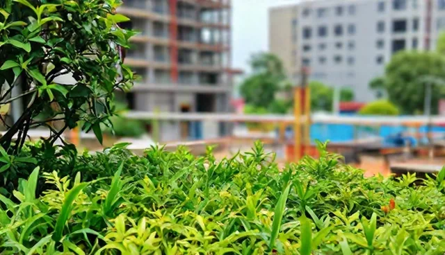 土建施工中使用维护的常见误区与实际操作